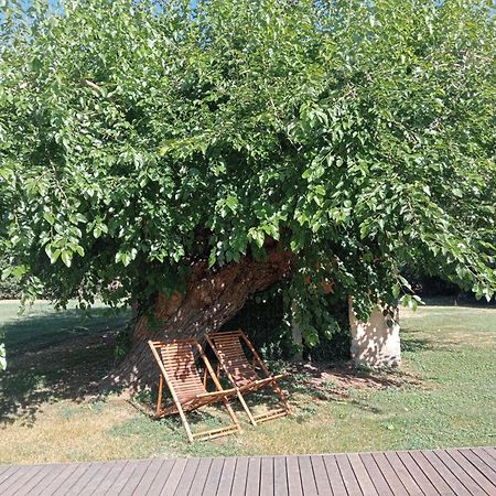 Maison022 Otel Iesi Dış mekan fotoğraf
